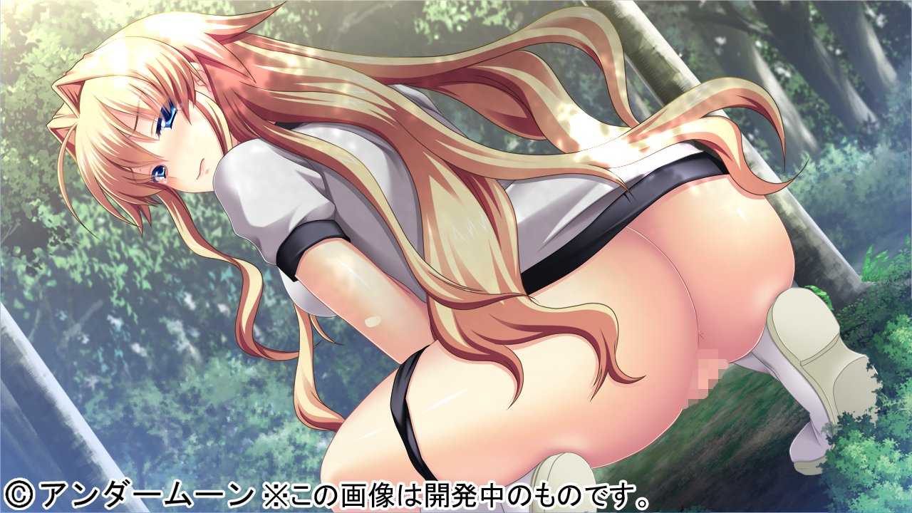电脑游戏